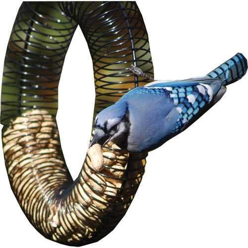 Whole Peanut Wreath Feeder