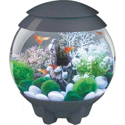 Biorb Halo 15 Mcr Aquarium