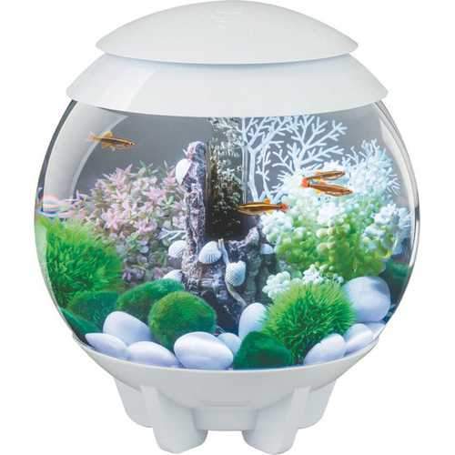 Biorb Halo 15 Mcr Aquarium