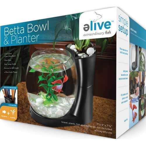 Betta Bowl And Planter