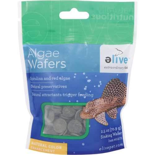 Algae Wafers