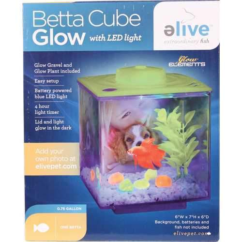 Betta Glow Cube