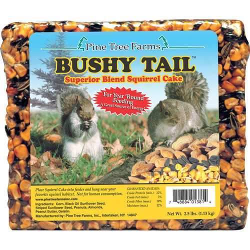 Bushy Tail Squirrel Cake