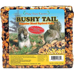 Bushy Tail Squirrel Cake