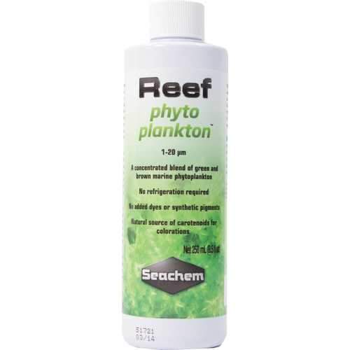 Reef Phytoplankton
