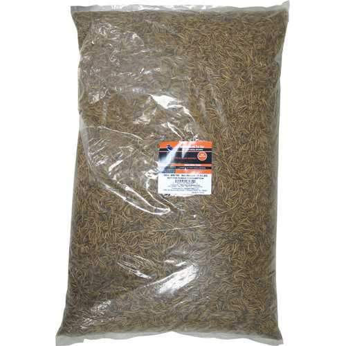 Mealworm To Go Dried Mealworm Wild Bird Food