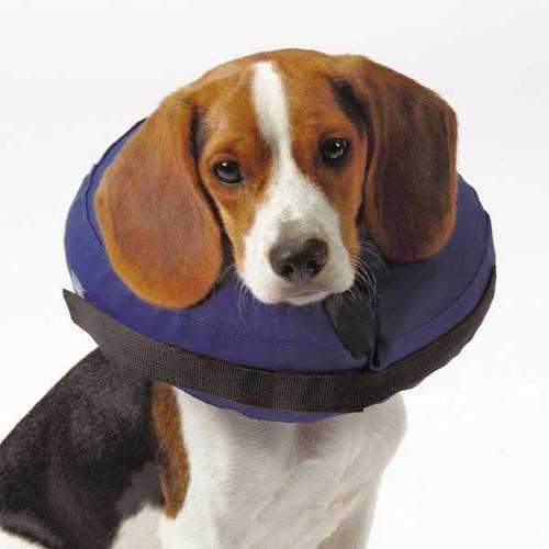 Total Pet Health Inflatable Pet Collar - Blue