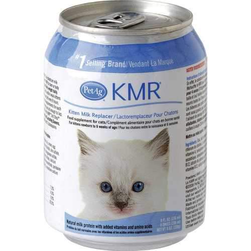 Kmr Milk Replacer For Kittens