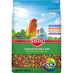 Exact Rainbow Parakeet/ Lovebird