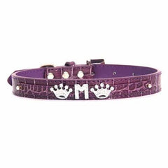 Faux Crocodile Two Tiered Dog Collar with 18MM Letter Strap - Purple
