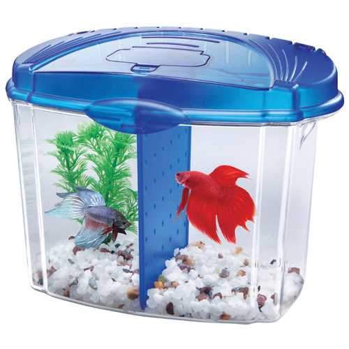 Betta Bowl Kit With Divider