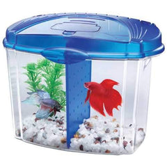 Betta Bowl Kit With Divider