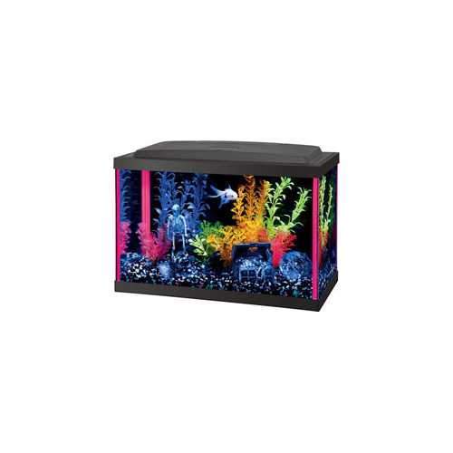Aqueon Neoglow Aquarium Kit Rectangle