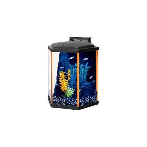 Aqueon Neoglow Aquarium Kit Hexagon