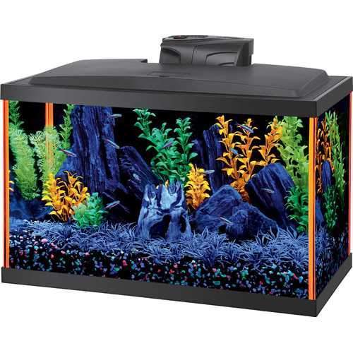 Aqueon Neoglow Aquarium Kit Rectangle