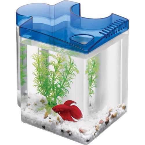 Betta Puzzle Kit