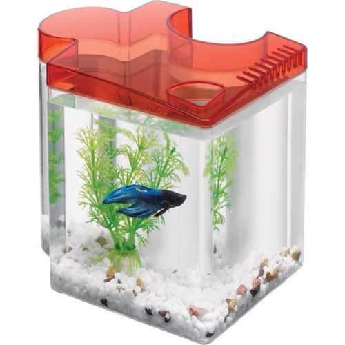 Betta Puzzle Kit