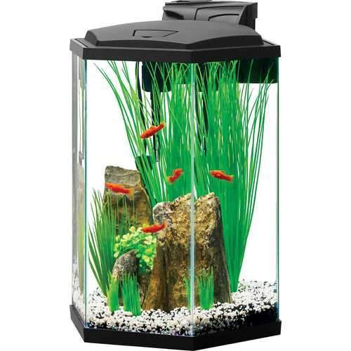 Led Hexagon Aquarium Kit