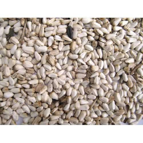 Safflower Seed