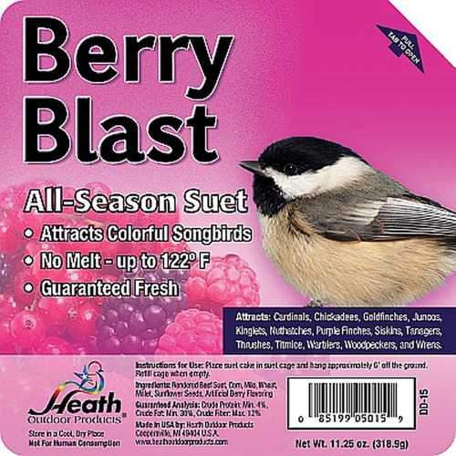 Suet Cake Wild Berry