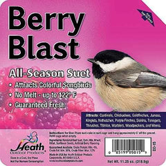 Suet Cake Wild Berry