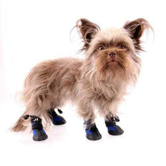 All Weather Dog Boots - Blue