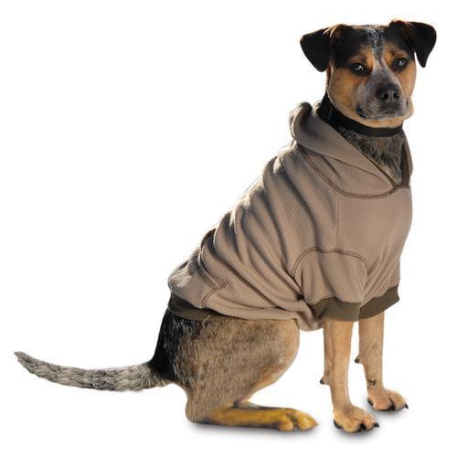 On-the-Go Thermal Dog Hoodie - Taupe