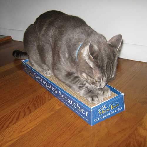Meow Town Corrugated Scratcher