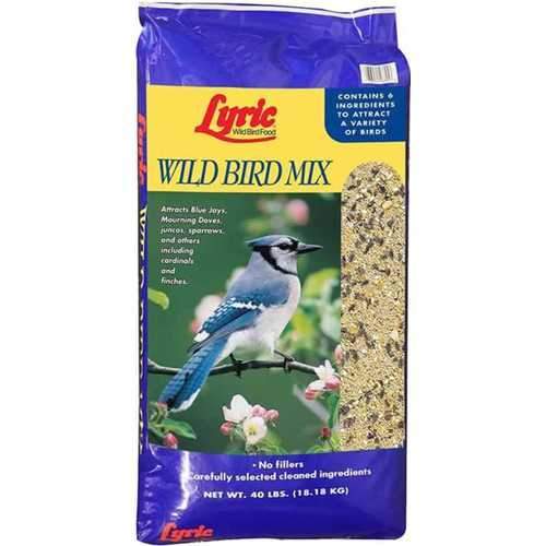 Lyric Wild Bird Mix