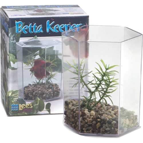 Betta Keeper Kit