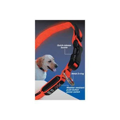 Nite Dawg LED Dog Collar - Orange