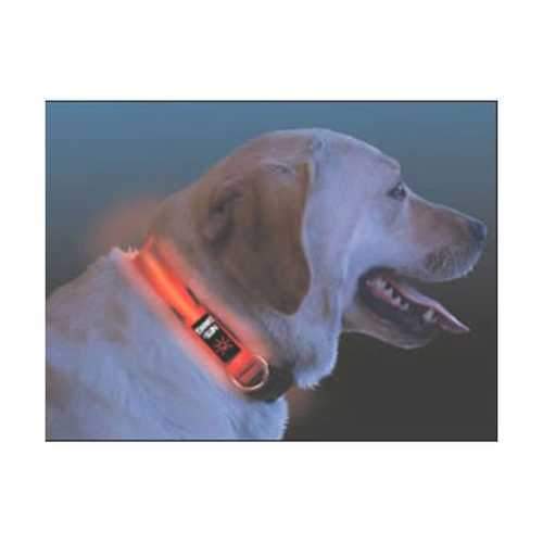 Nite Dawg LED Dog Collar - Orange