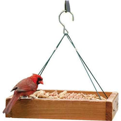 3-in-1 Platform Feeder