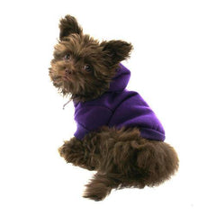 Plain Dog Hoodie - Purple