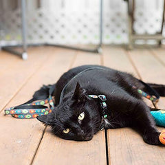 Kitty RC Cat Leash - Fish
