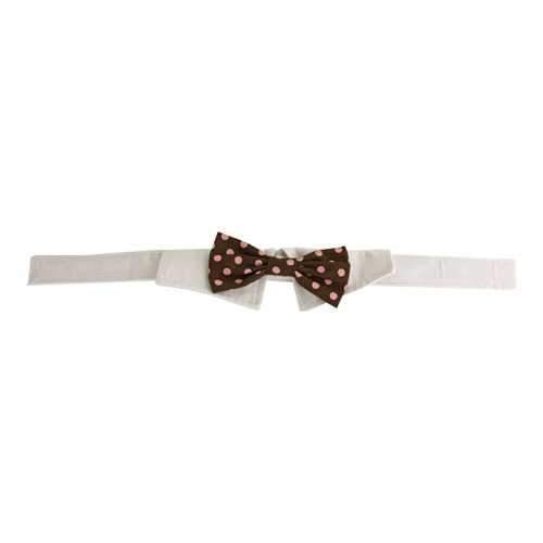 Colin Polka Dot Dog Shirt Collar & Bow Tie
