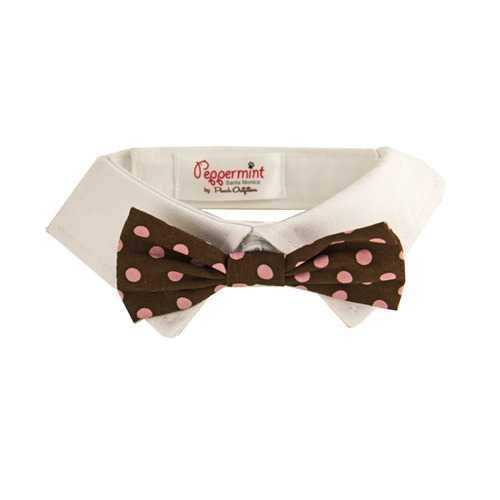 Colin Polka Dot Dog Shirt Collar & Bow Tie
