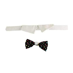 Nathan Polka Dot Dog Shirt Collar and BowTie