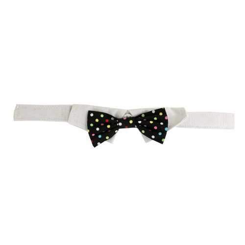 Nathan Polka Dot Dog Shirt Collar and BowTie