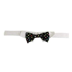 Nathan Polka Dot Dog Shirt Collar and BowTie