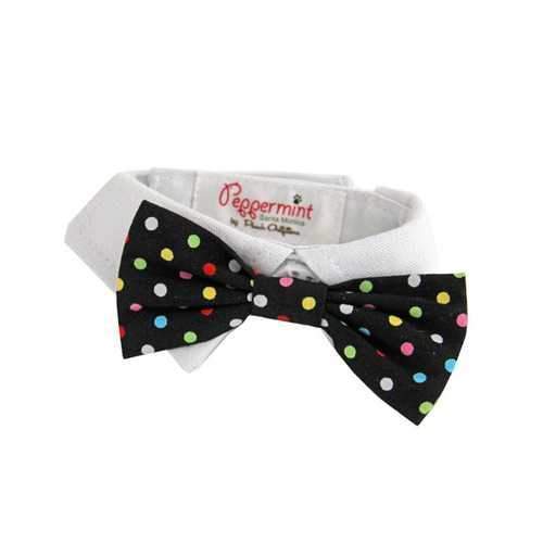 Nathan Polka Dot Dog Shirt Collar and BowTie