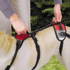 Total Pet Health Lift & Go Dog Leads - Red