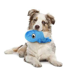 Hear Doggy Plush Dog Toy - Whale