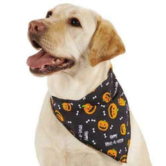 Aria Howl-O-Ween Pumpkins Dog Bandana