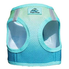 American River Choke-Free Dog Harness - Aruba Blue Ombre