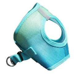 American River Choke-Free Dog Harness - Aruba Blue Ombre