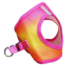 American River Choke-Free Dog Harness - Raspberry and Orange Sorbet Ombre