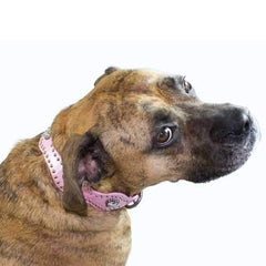 Heart Wave Dog Collar - Pink