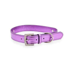 Metallic Two Tiered Dog Collar with 18MM Letter Strap - Purple