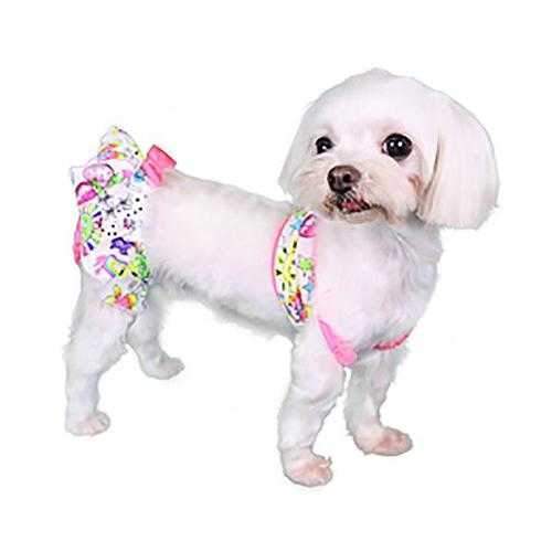 Bondi Dog Bikini
